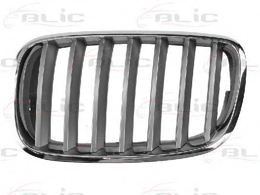 Решетка радиатора